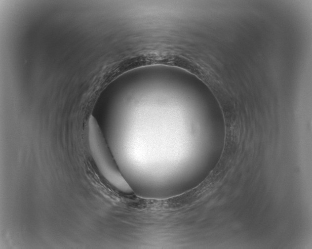 X0000062800961200512221400
