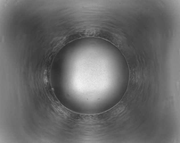 X0000062800962200512221400