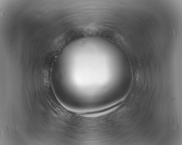 X0000062800964200512221400