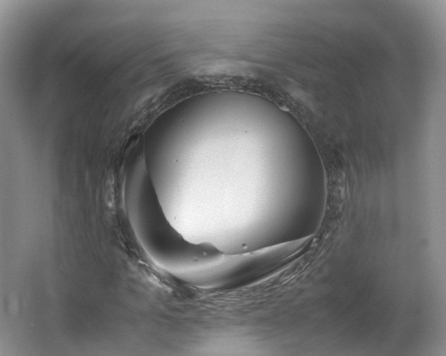 X0000062800965200512221400