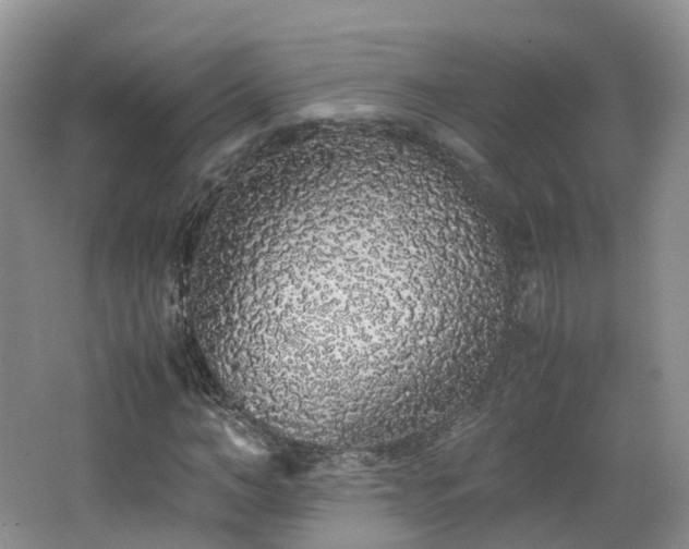 X0000062800966200512221400