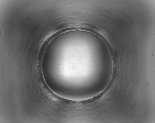 X0000062800971200512221400