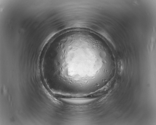 X0000062800972200512221400