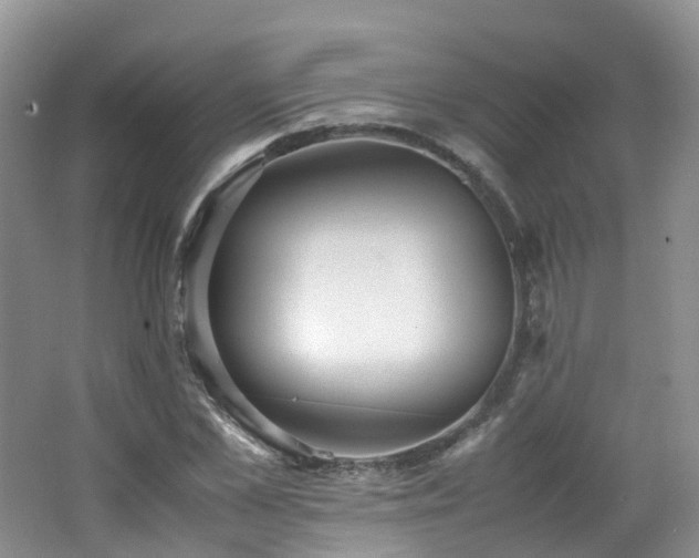 X0000062800973200512221400