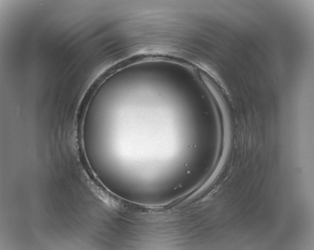 X0000062800976200512221400