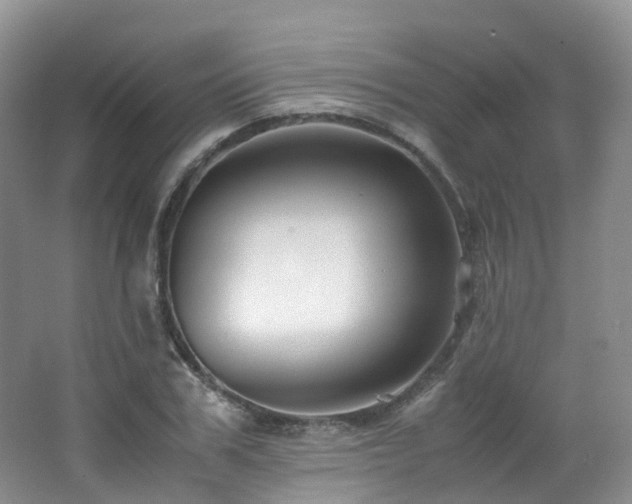 X0000062800979200512221400