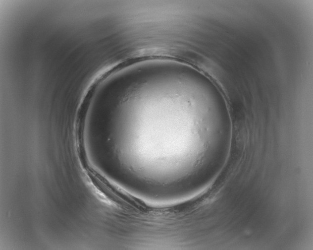 X0000062800987200512221359
