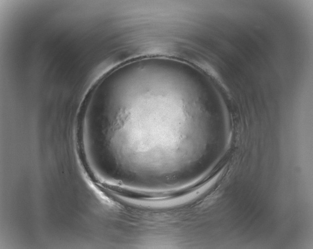 X0000062800991200512221359