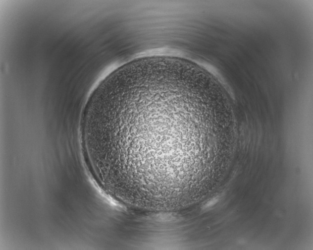 X0000062800998200512221359