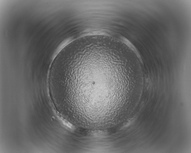 X0000062801002200512221359