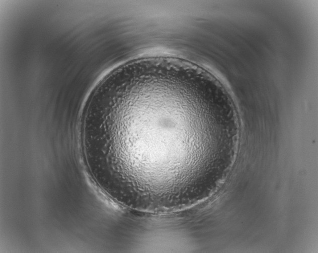 X0000062801008200512221359