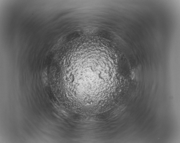 X0000062801011200512221358