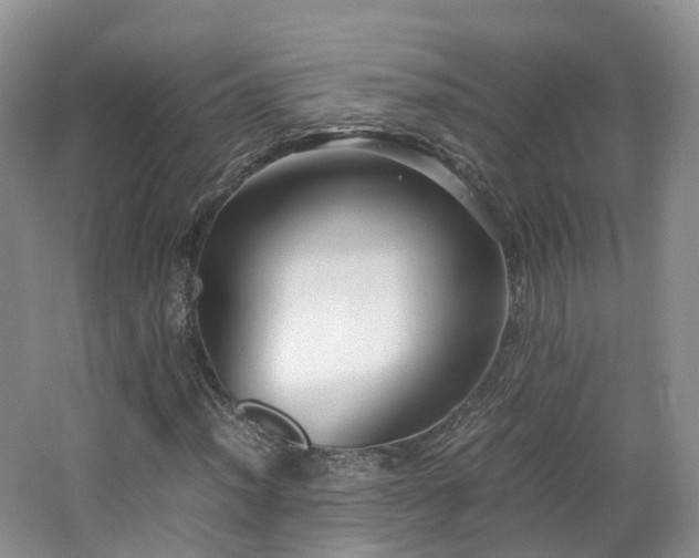 X0000062801012200512221358