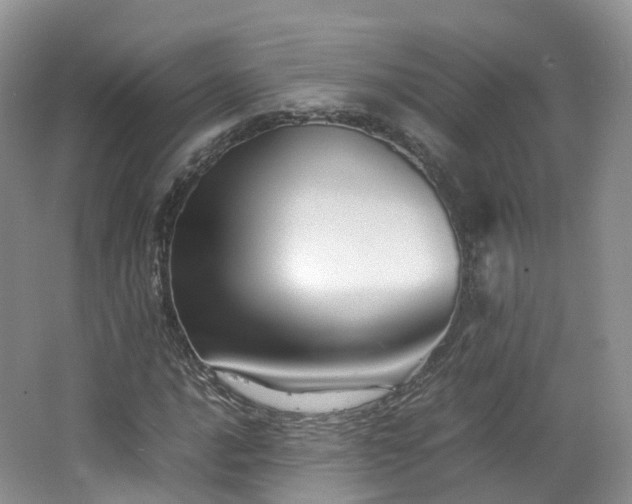 X0000062801016200512221358