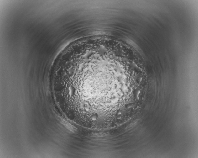 X0000062801023200512221358