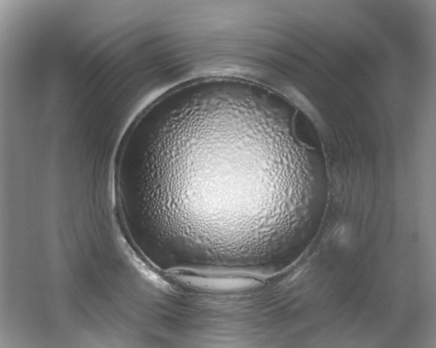 X0000062801036200512221359