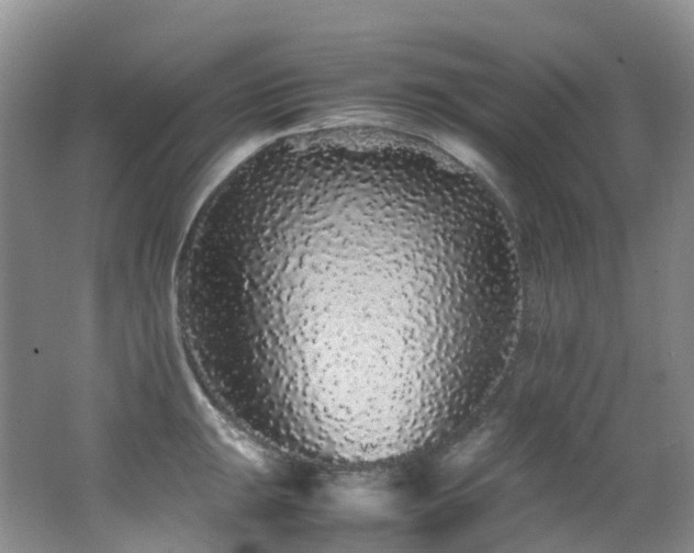 X0000062801047200512221359