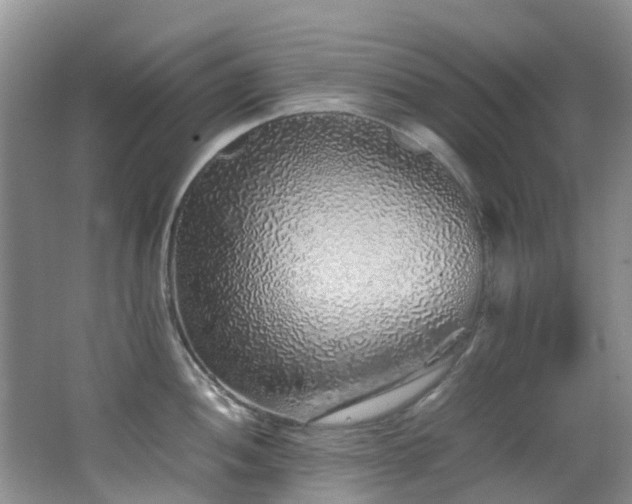 X0000062801052200512221359