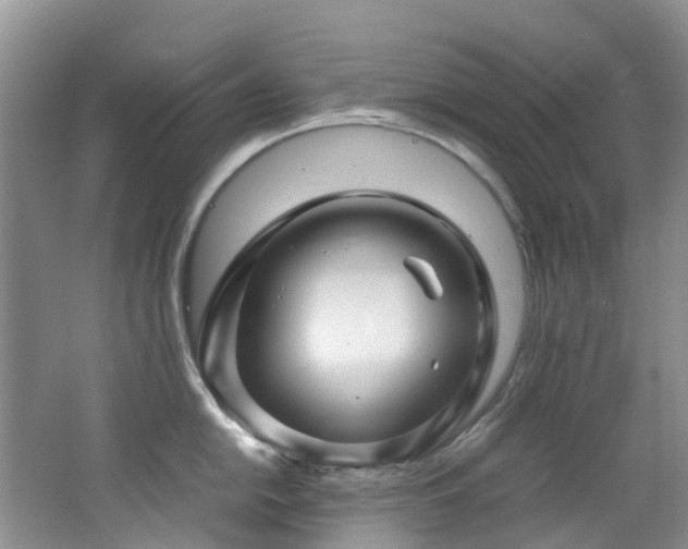 X0000062801054200512221359