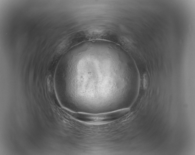 X0000062801059200512221358