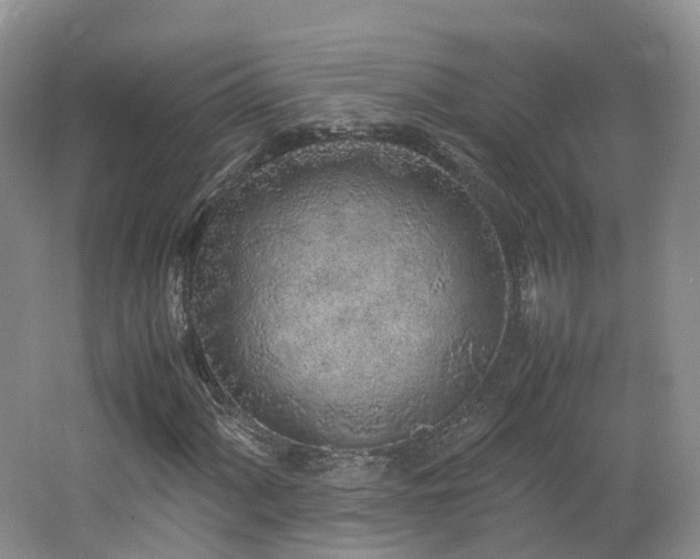 X0000062801060200512221358