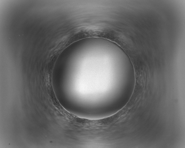 X0000062801061200512221358