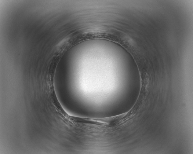 X0000062801062200512221358