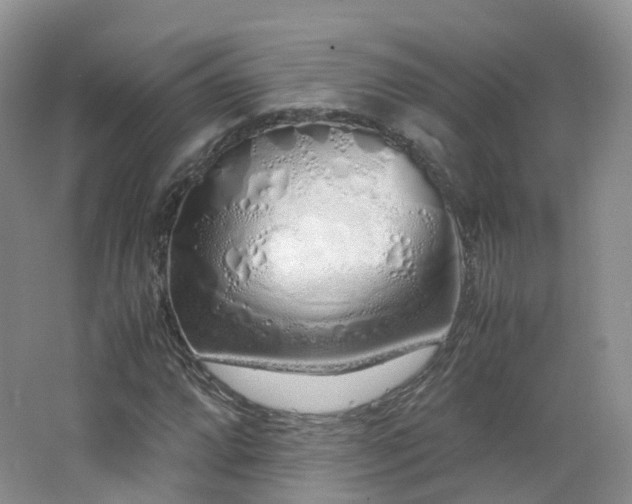 X0000062801064200512221358