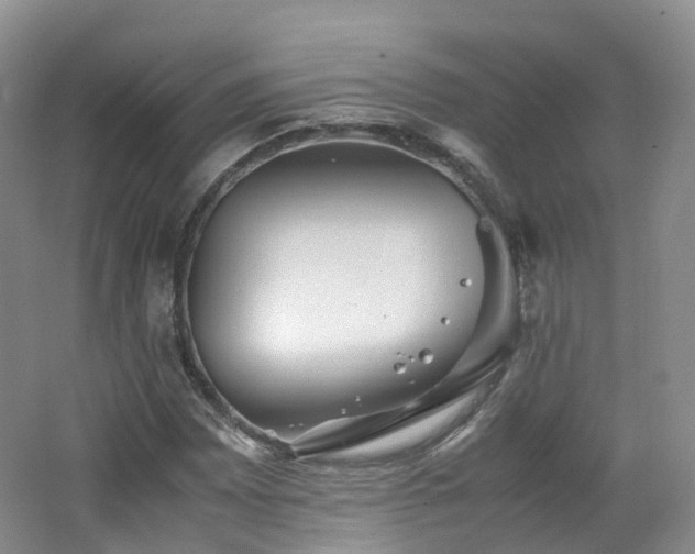 X0000062801065200512221358