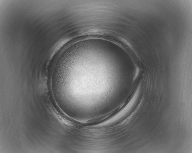 X0000062801066200512221358