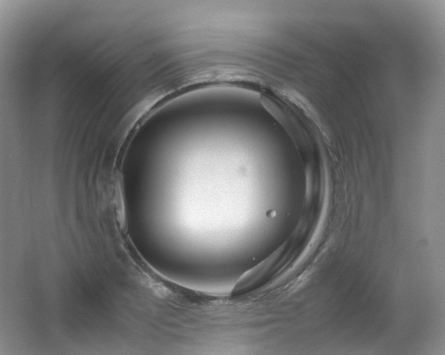 X0000062801081200512221358