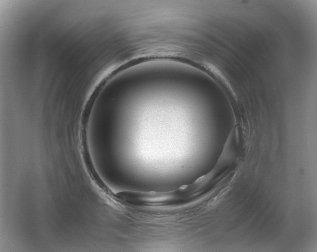 X0000062801085200512221358