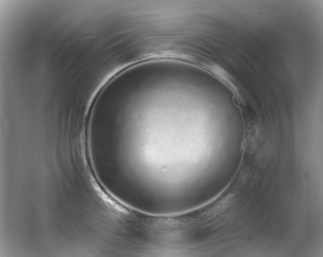 X0000062801100200512221357
