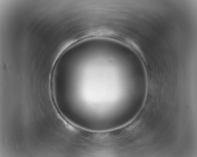 X0000062801103200512221357