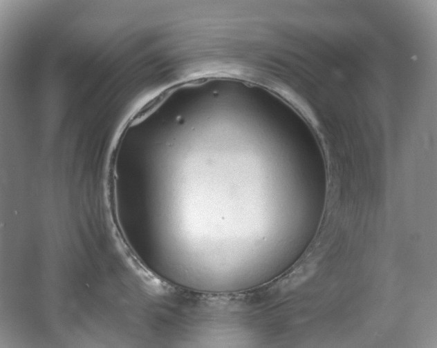 X0000062801104200512221357