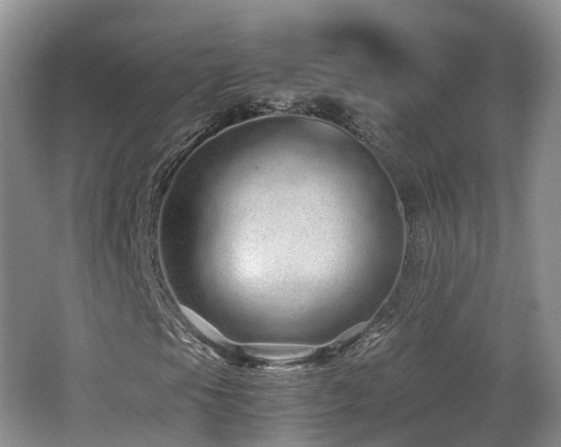 X0000062801105200512221356