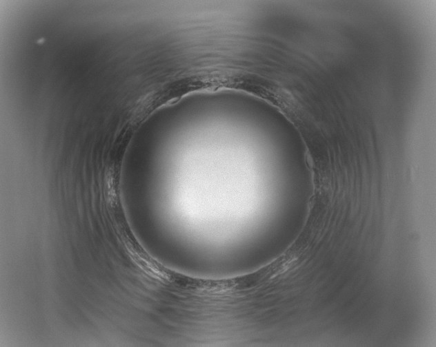 X0000062801106200512221357