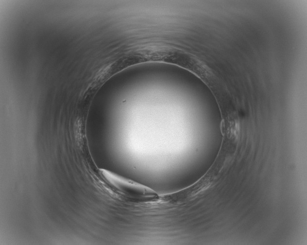 X0000062801108200512221357