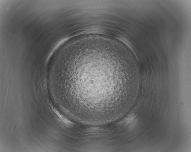 X0000062801115200512221357