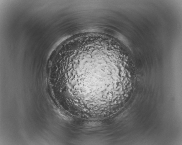 X0000062801117200512221357