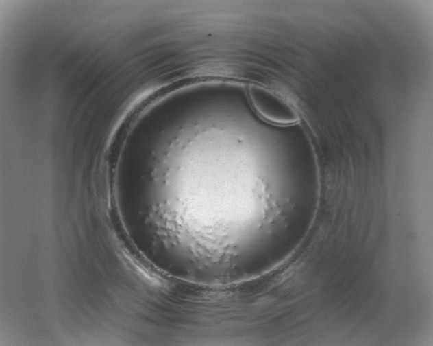 X0000062801123200512221357