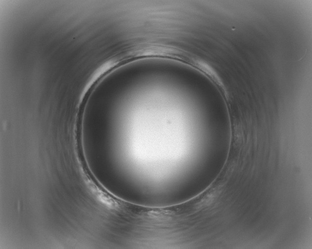 X0000062801138200512221357