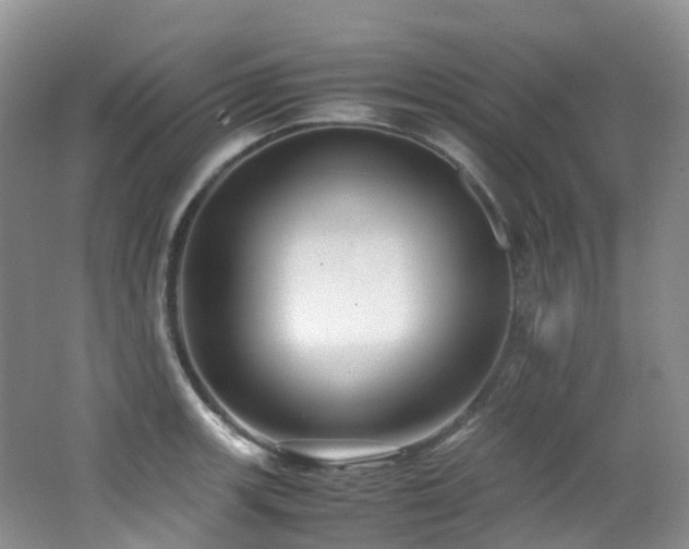 X0000062801139200512221357