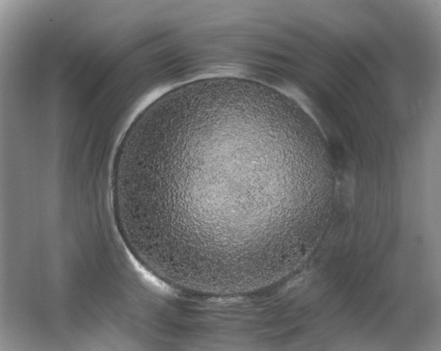 X0000062801143200512221357