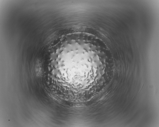 X0000062801154200512221356