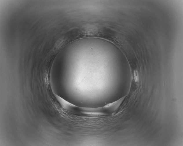 X0000062801155200512221356