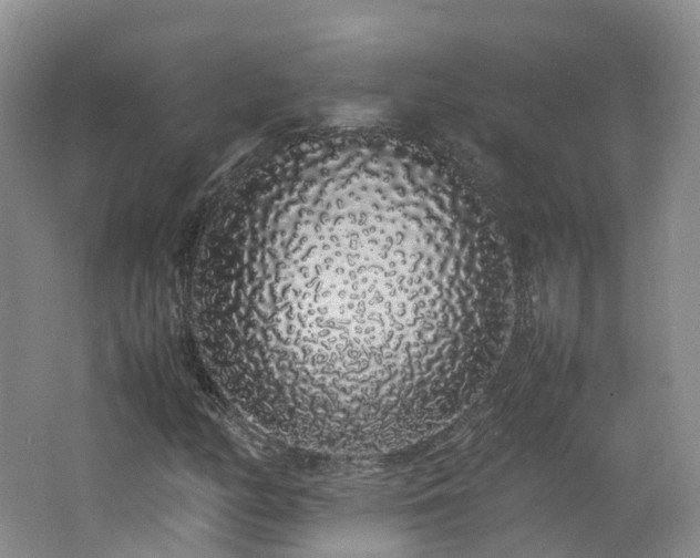 X0000062801158200512221356