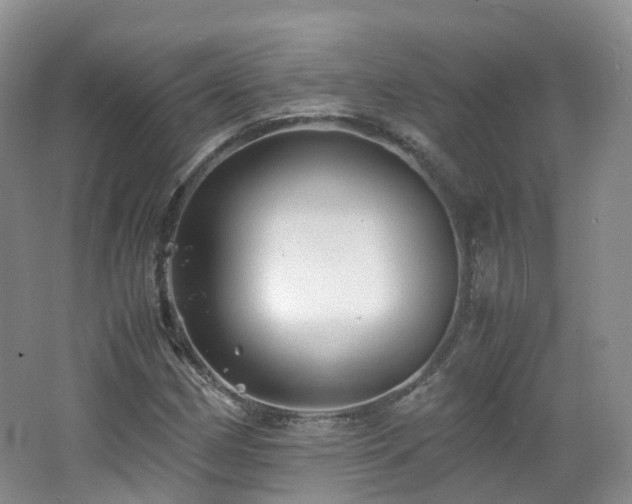 X0000062801162200512221356