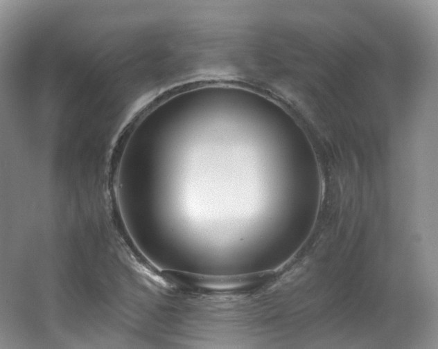 X0000062801168200512221356