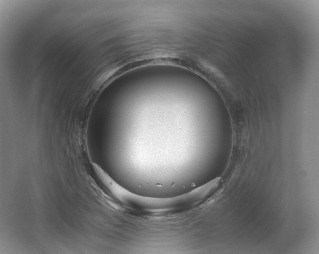 X0000062801169200512221356